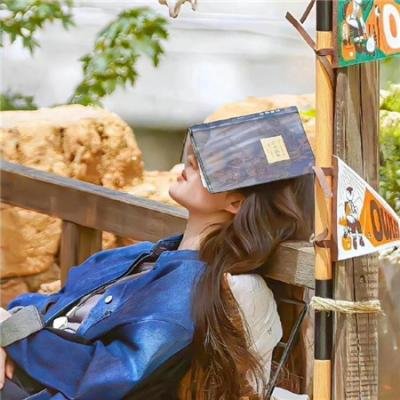 狮子护卫队第一季